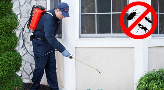 Körfez Böcek ve Haşere İlaçlama böcek ilaçlama ve haşere kontrolü — ilaclama-tr.com